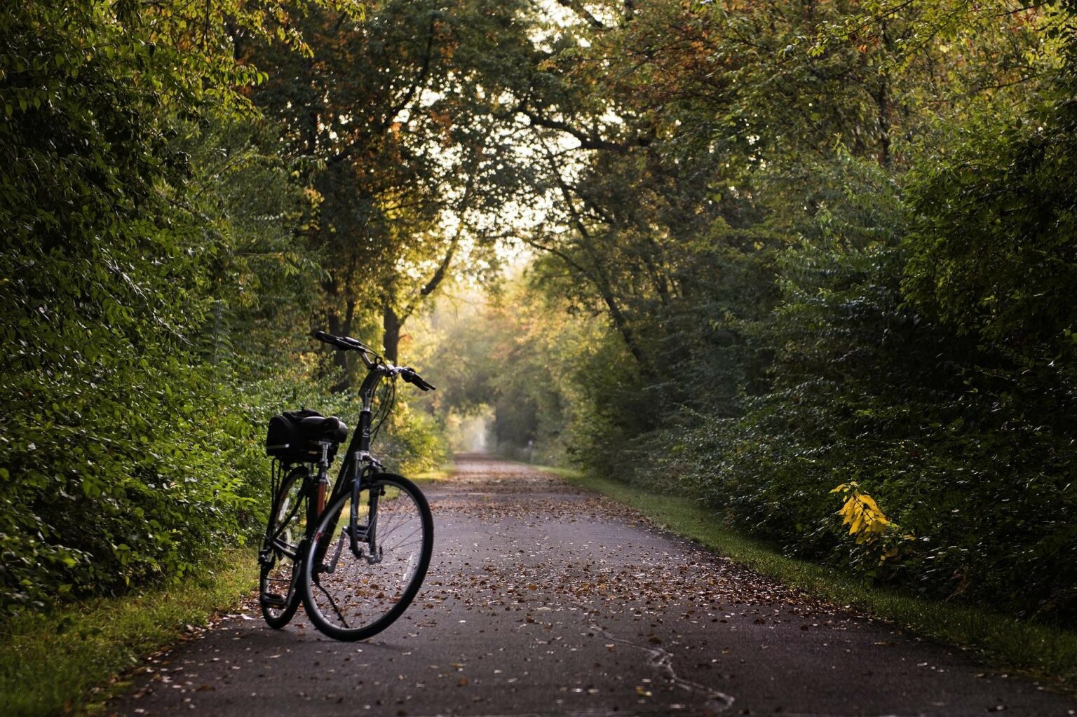 12 Best Bike Trails in the Twin Cities MN Bicycle Odyssey